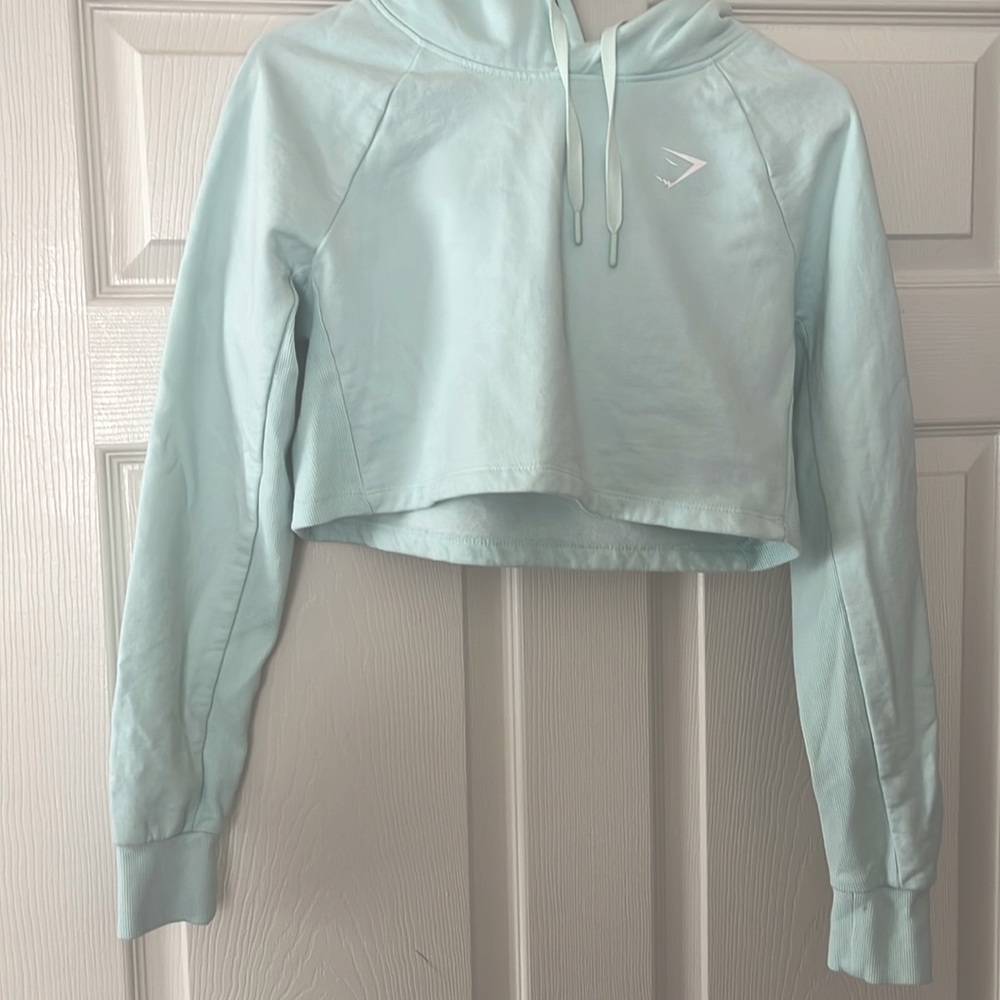 gym shark cropped hoodie.
